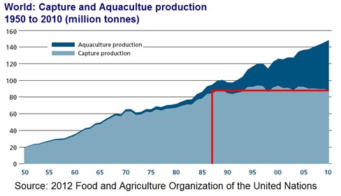 fish_Capture_production